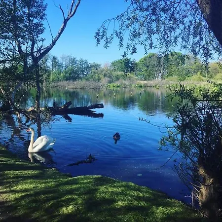 Apartment Romanowka *